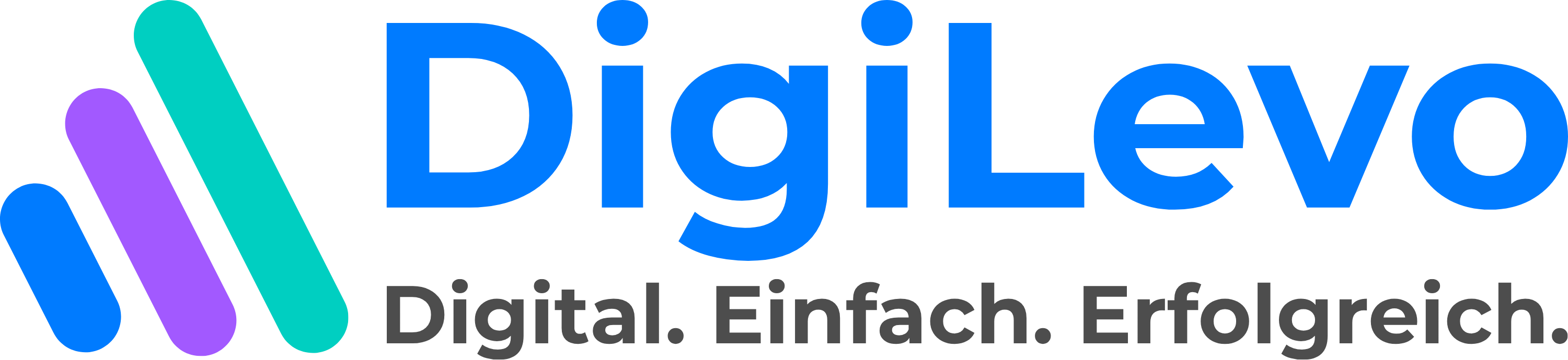 DigiLevo · Online-Marketing-Beratung